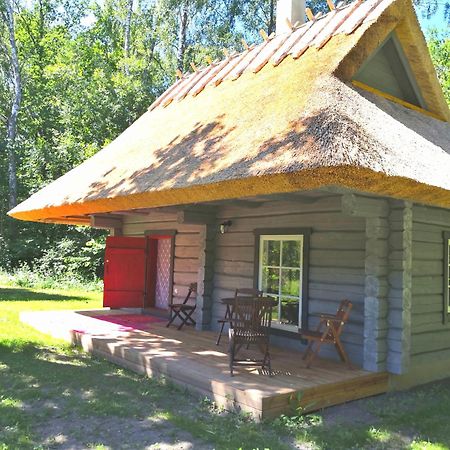 Отель Kotka Farm Saarekula Экстерьер фото