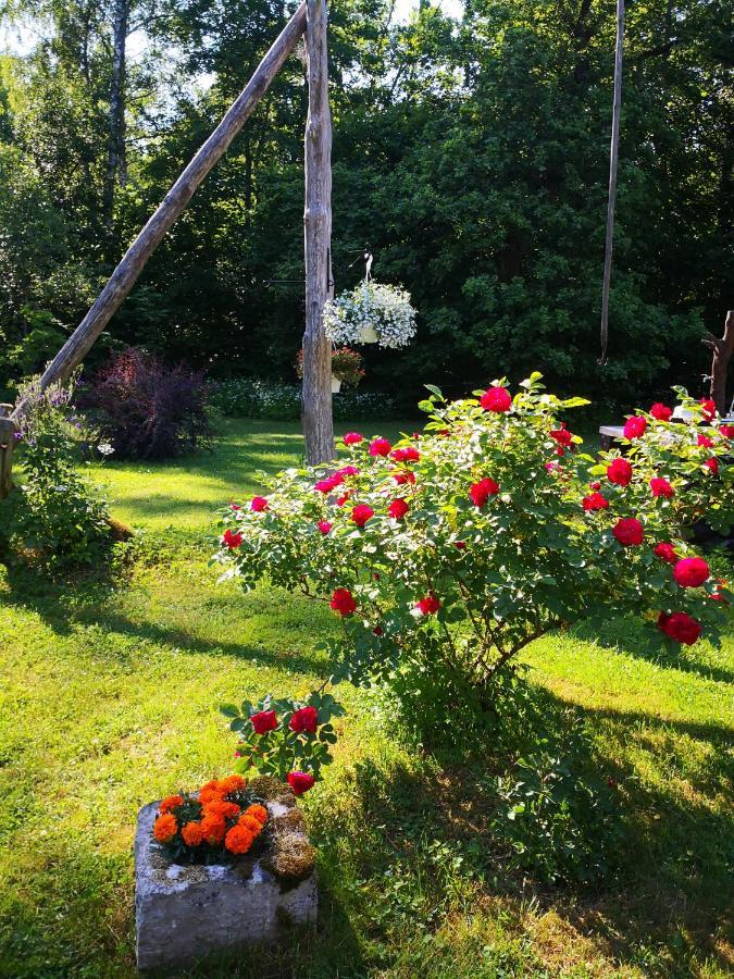 Отель Kotka Farm Saarekula Экстерьер фото