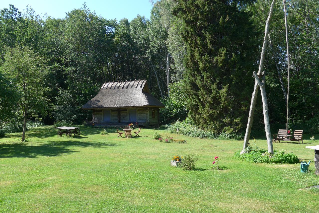 Отель Kotka Farm Saarekula Экстерьер фото