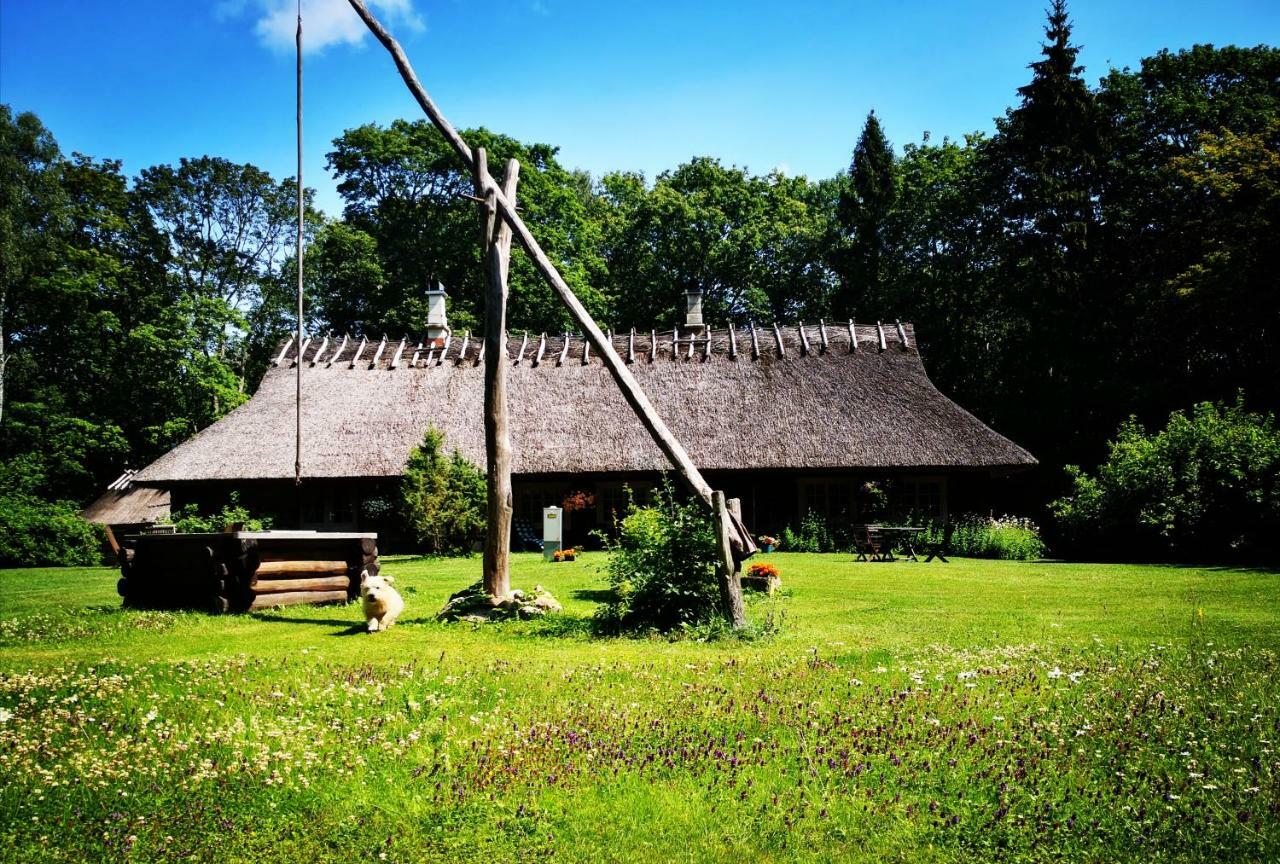 Отель Kotka Farm Saarekula Экстерьер фото